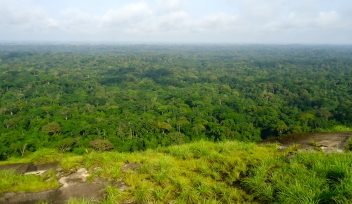 29/05/18 FCFA 616 milliards pour sauver la forêt en Côte d’Ivoire