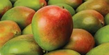 19/05/2020 La mangue d’Afrique de l’Ouest a tiré son épingle du jeu en plein Covid-19