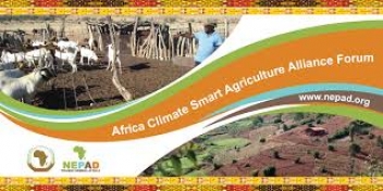 09/07/19 Le Nepad devient l'Agence de développement de l'Union africaine