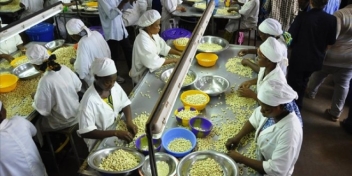 28/10/19 Olam achète 100 000 tonnes de cacao ivoirien incluant la prime