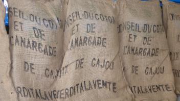 16/06/17  Oprateurs du cajou, vendez ou couvrez-vous ! prconise Rongead
