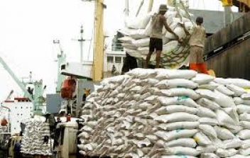 22/11/18  L'Afrique de l'Ouest ne parvient pas  rduire sa dpendance envers le riz import