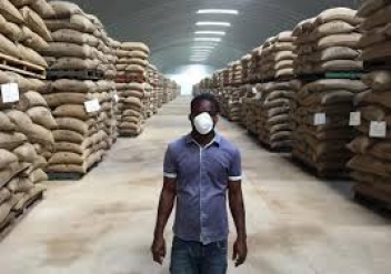 03/11/18 En Côte d'Ivoire, le dossier SAF-Cacao bloque le financement des locaux par les banques