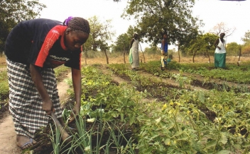 10/03/22 Hausse de 16% du budget pour la campagne agricole 2021/22 au Sénégal