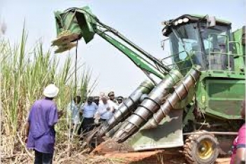 07/10/19 La SUCAF-CI veut investir dans le maïs en Côte d'Ivoire