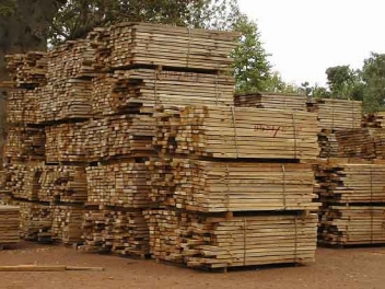 22/06/18  La reforestation est lance au Ghana sur fond dexportations de bois dynamiques