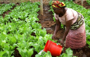 14/05/2020 Plaidoyer en faveur de l’agriculture en Afrique dans le cadre de la riposte au Covid-19